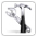 Data Recovery/Repair and Maintenance Company User License